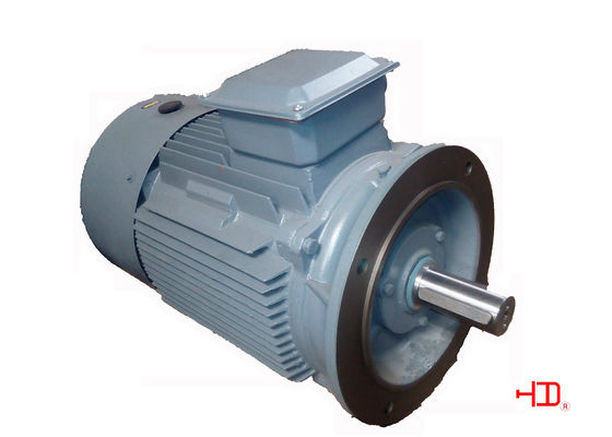 High Power 315KW IE2 Three Phase Asynchronous Electric Motor Inverter , Low Rpm