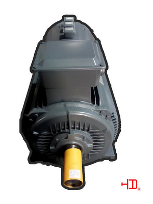 Motor industrial del deber del inversor de 45KW 160KW eléctrico para el IEC/el GB de la bomba de agua